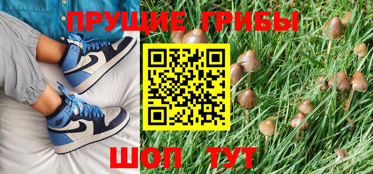 Псилоцибиновые грибы Magic Shrooms Кольчугино