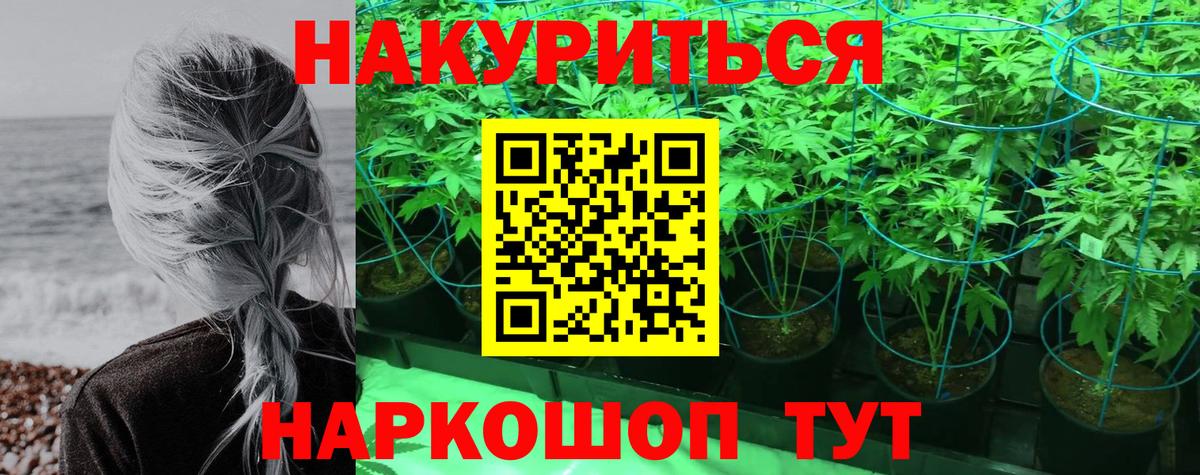 Марихуана план  Каннабис Bruce Banner  Вход с VPN  Бошки марихуана MAZAR  Кольчугино 
